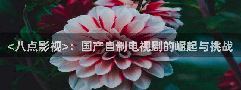 新闻图片
