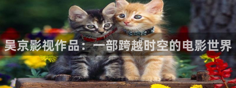 97人人爽人人影院