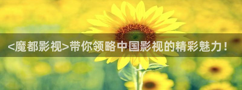人人视频下载
