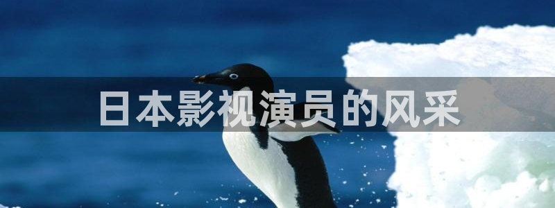 人人影视在线播放