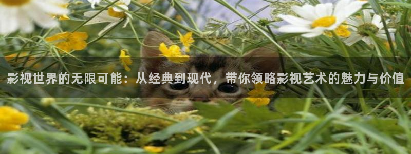 人人影视在线观看