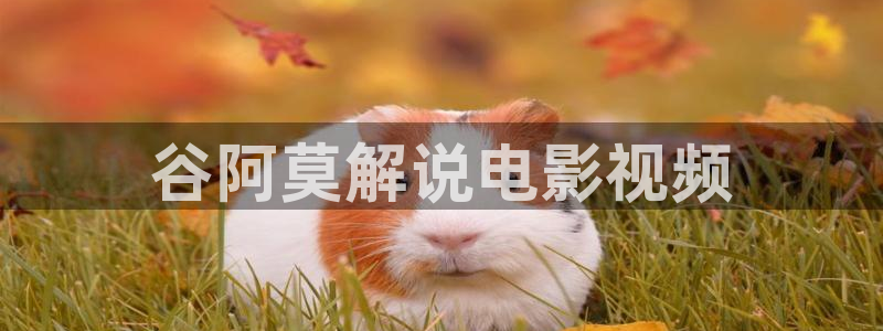 人人影院下载