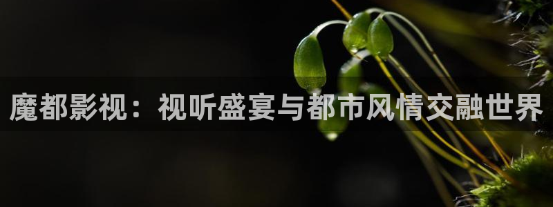 人人影院日韩最新