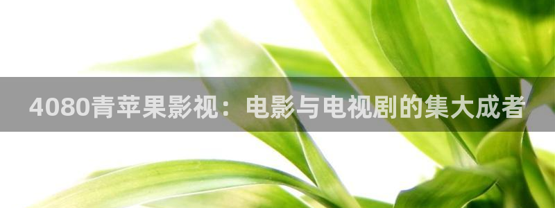 人人视频tv