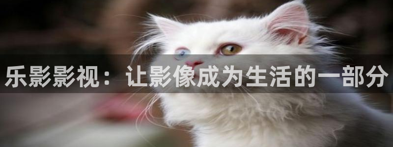 人人影院电影免费观看