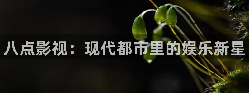 人人视频.