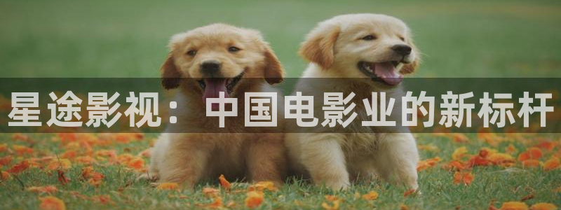 人人影视