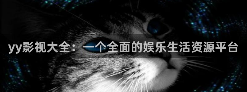 人人视频电脑版