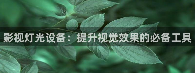 51人人影豆网理论片