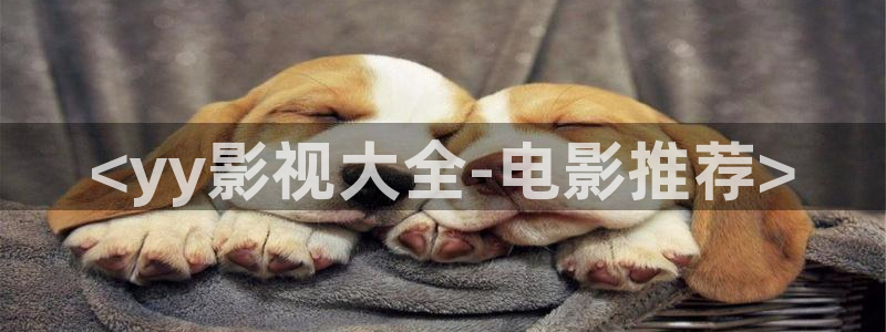 人人视频网站