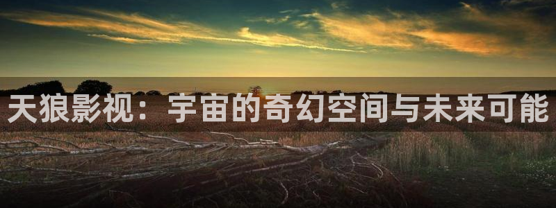 人人影院日韩最新