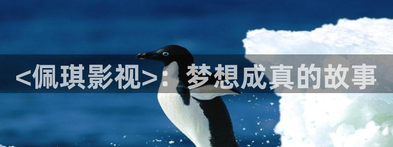 51人人影豆网理论片