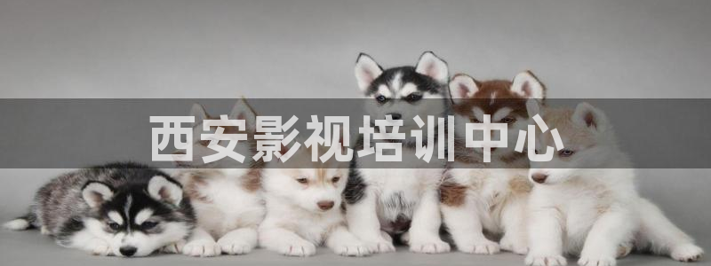 人人影院免费下载