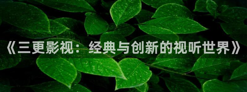 人人影视在线