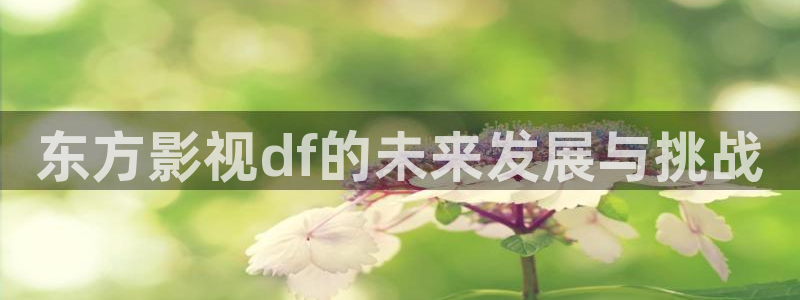 人人影院免费观看
