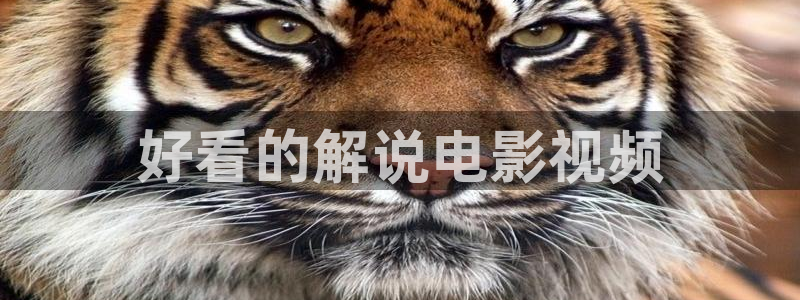 人人人人影院